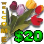 $20 Off Initial Services at Office